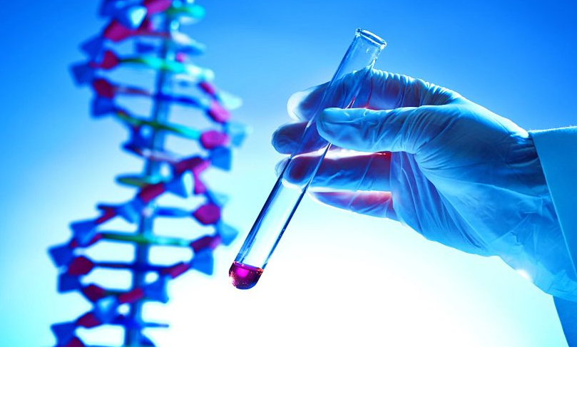 double image fisrt part